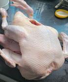 Vịt Halal